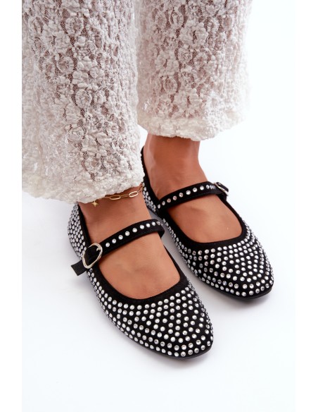 Eco Suede Ballerina Flats Adorned with Jet Black Tinara