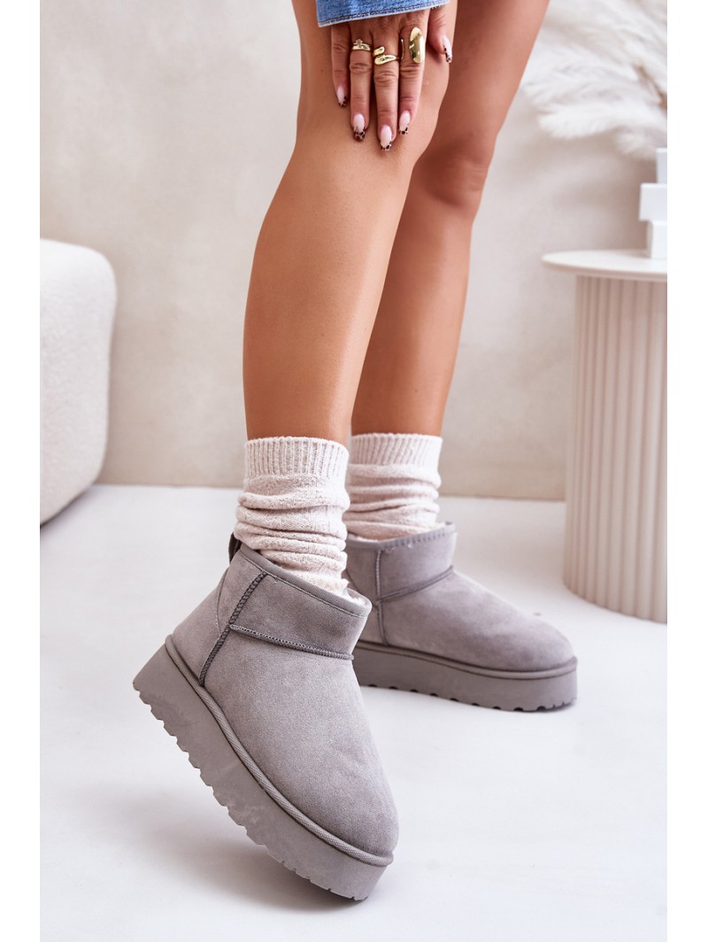 Women's Snow Boots On Platform Insulated With Fur Gray Xamella