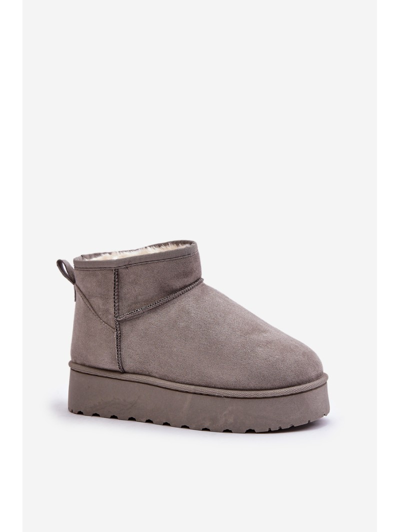 Women's Snow Boots On Platform Insulated With Fur Gray Xamella
