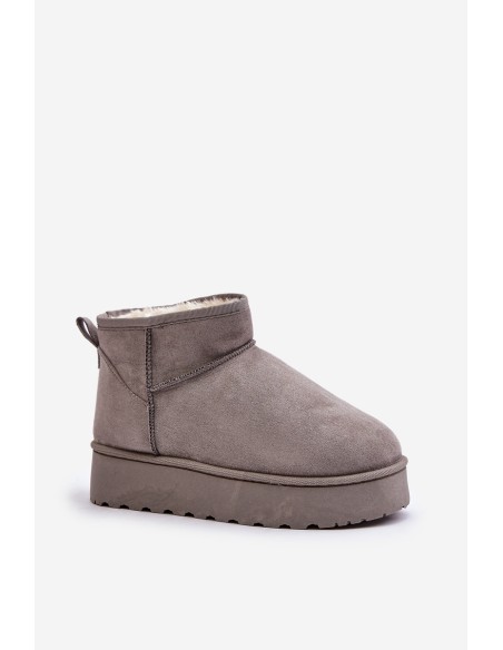 Women's Snow Boots On Platform Insulated With Fur Gray Xamella
