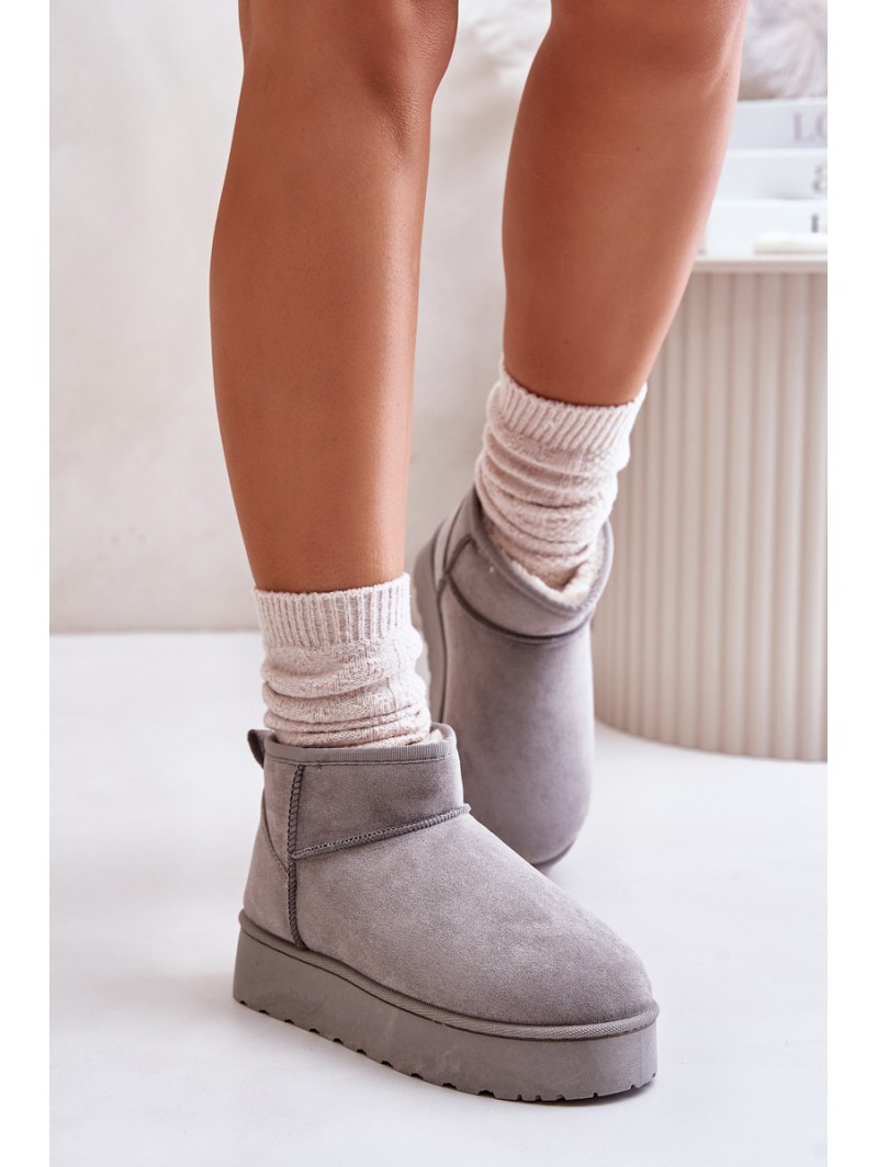 Women's Snow Boots On Platform Insulated With Fur Gray Xamella