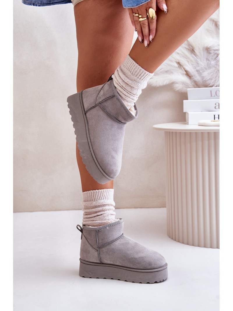 Women's Snow Boots On Platform Insulated With Fur Gray Xamella