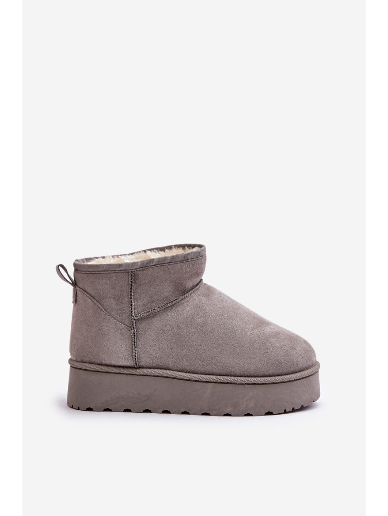 Women's Snow Boots On Platform Insulated With Fur Gray Xamella