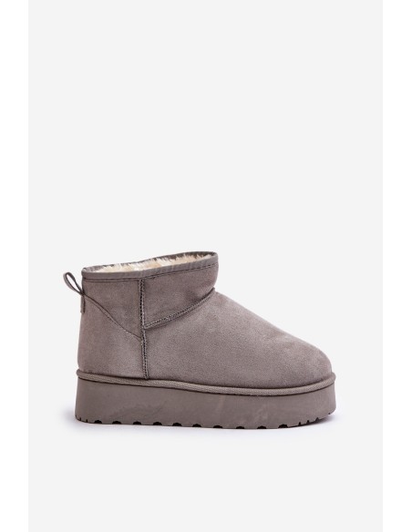Women's Snow Boots On Platform Insulated With Fur Gray Xamella