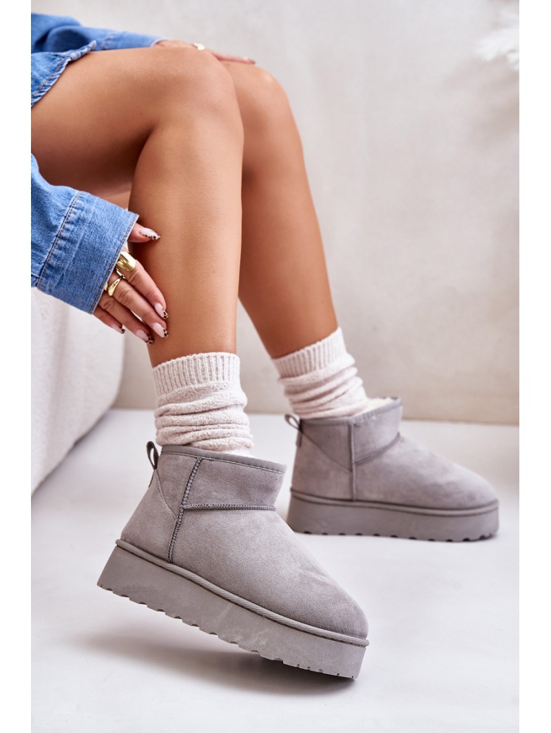 Women's Snow Boots On Platform Insulated With Fur Gray Xamella