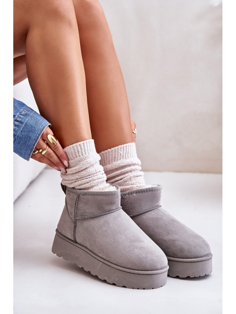Women's Snow Boots On Platform Insulated With Fur Gray Xamella