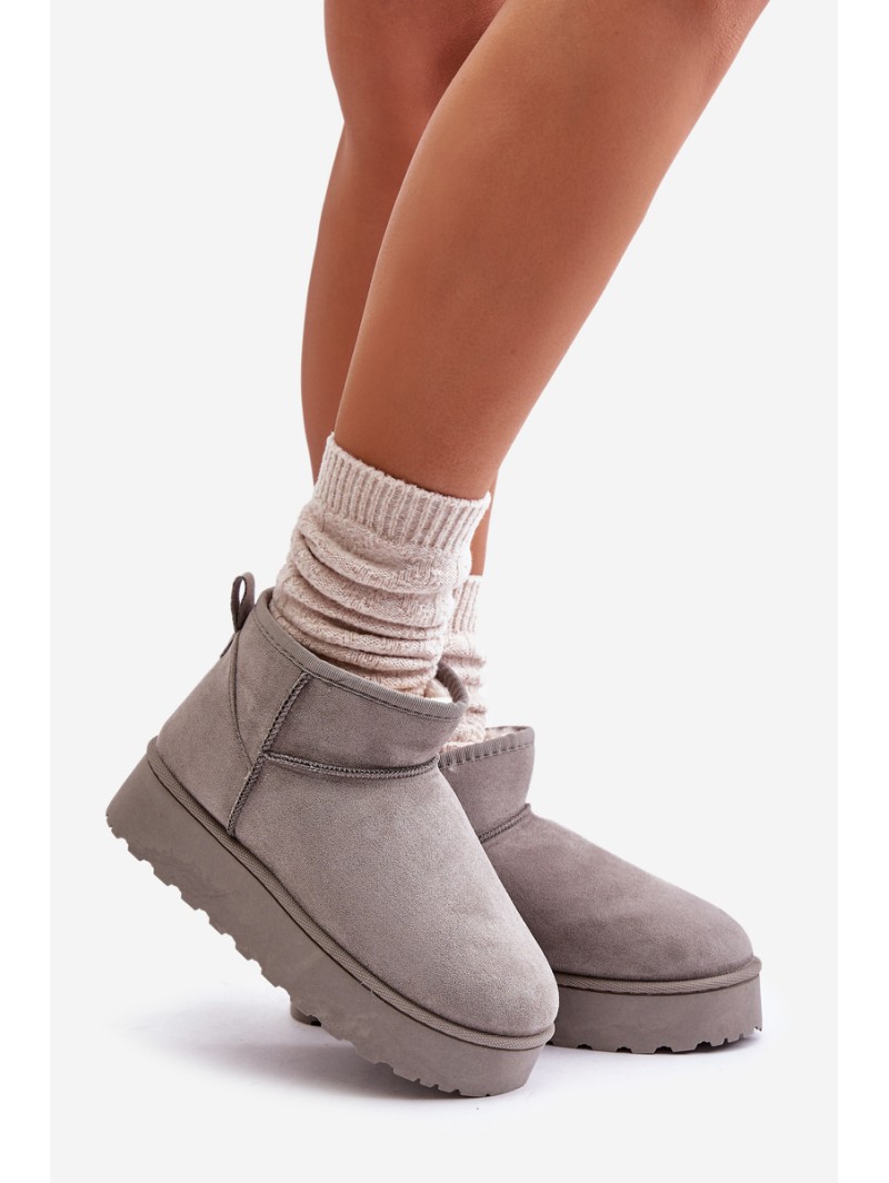 Women's Snow Boots On Platform Insulated With Fur Gray Xamella