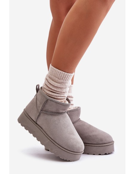 Women's Snow Boots On Platform Insulated With Fur Gray Xamella