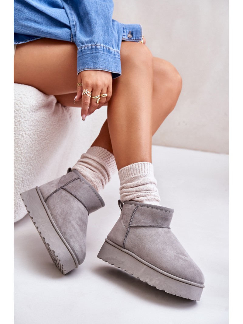 Women's Snow Boots On Platform Insulated With Fur Gray Xamella