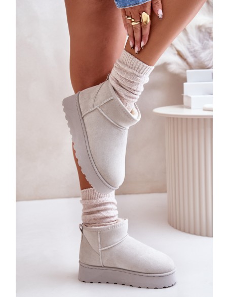 Women's Snow Boots On Platform Insulated With Fur Light Gray Xamella