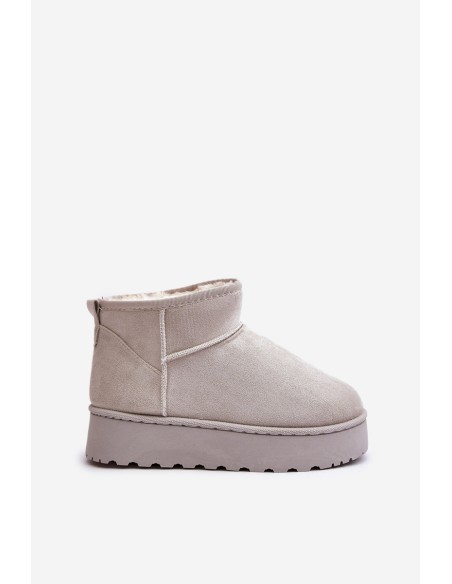 Women's Snow Boots On Platform Insulated With Fur Light Gray Xamella