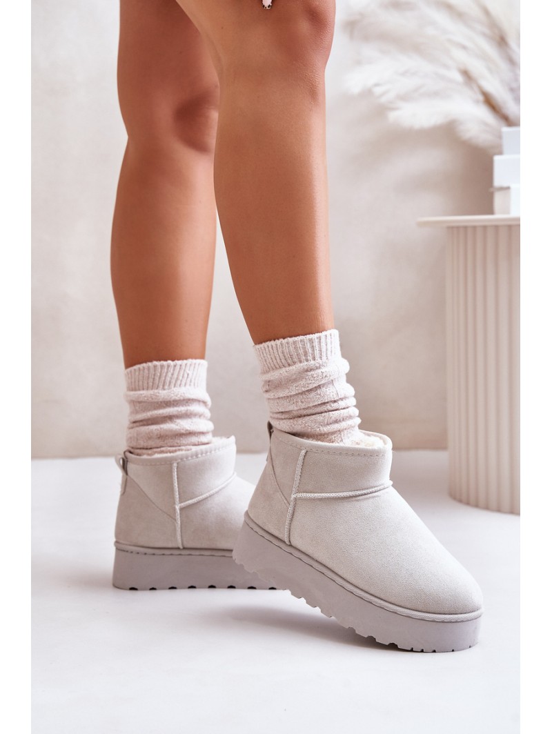 Women's Snow Boots On Platform Insulated With Fur Light Gray Xamella