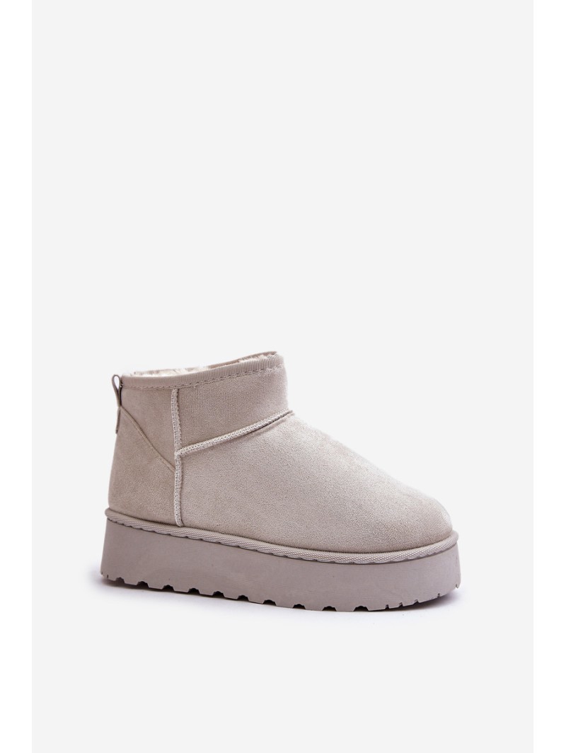 Women's Snow Boots On Platform Insulated With Fur Light Gray Xamella