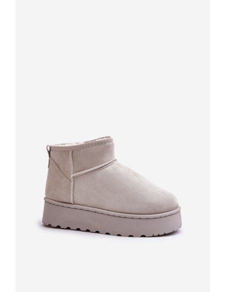 Women's Snow Boots On Platform Insulated With Fur Light Gray Xamella