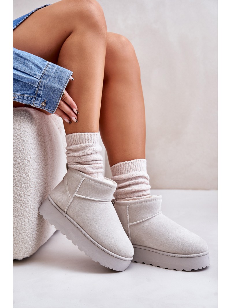 Women's Snow Boots On Platform Insulated With Fur Light Gray Xamella