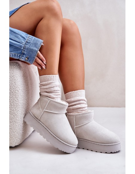 Women's Snow Boots On Platform Insulated With Fur Light Gray Xamella