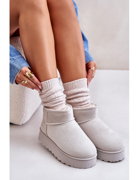 Women's Snow Boots On Platform Insulated With Fur Light Gray Xamella