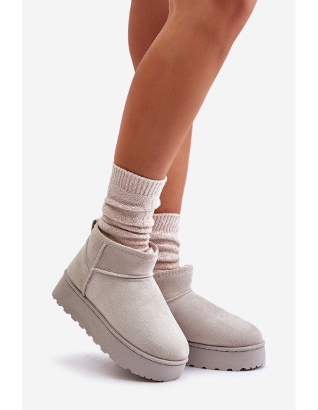 Women's Snow Boots On Platform Insulated With Fur Light Gray Xamella