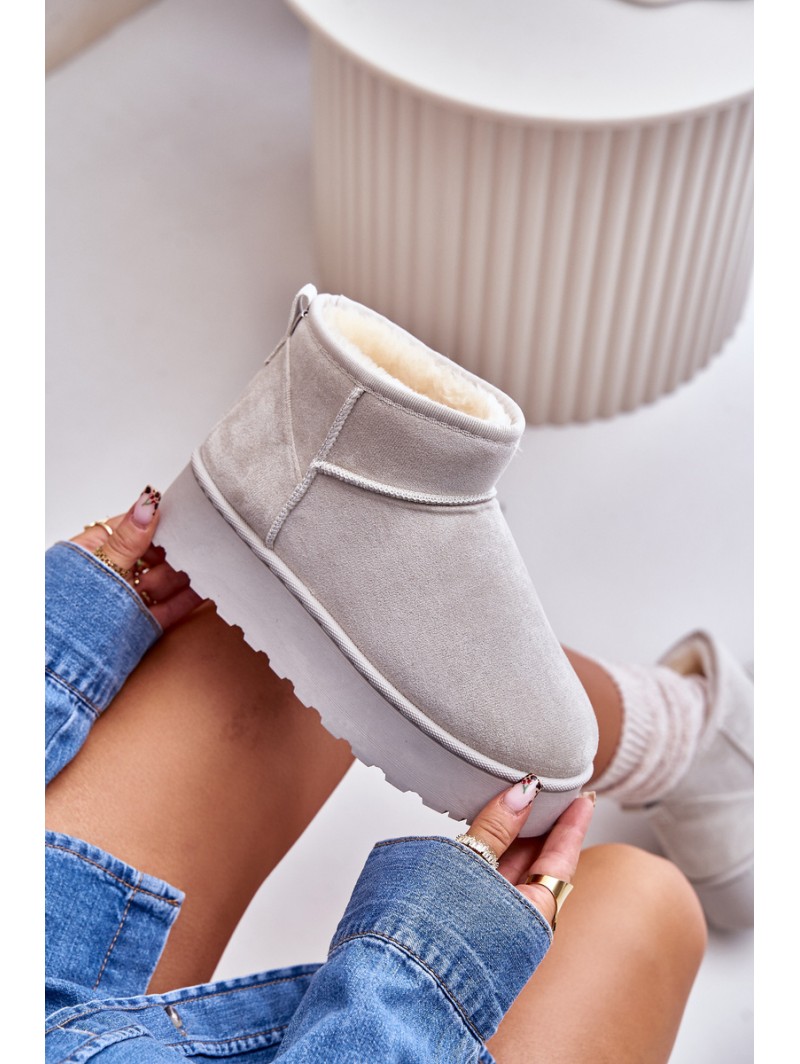 Women's Snow Boots On Platform Insulated With Fur Light Gray Xamella
