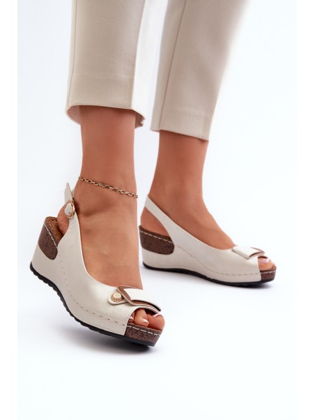 Women's Lightweight Wedge Sandals Comfort Shoes Silver Efravia