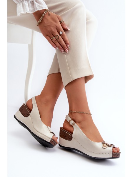 Women's Lightweight Wedge Sandals Comfort Shoes Silver Efravia