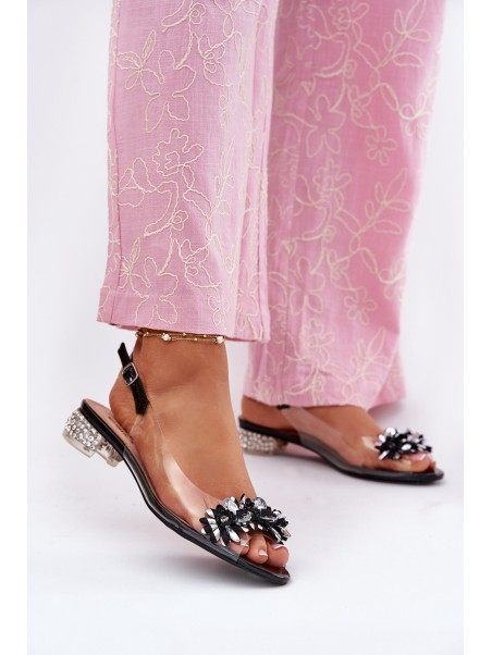 Transparent Low Heel Sandals With Decoration D&A MR51-709 Black