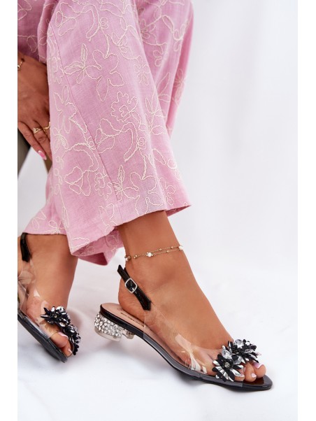 Transparent Low Heel Sandals With Decoration D&A MR51-709 Black