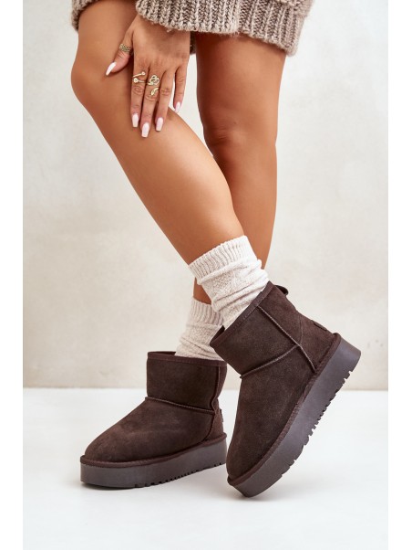 Women's Suede Snow Boots on Platform Above Ankle Brown Rianaella