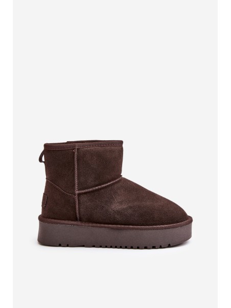 Women's Suede Snow Boots on Platform Above Ankle Brown Rianaella