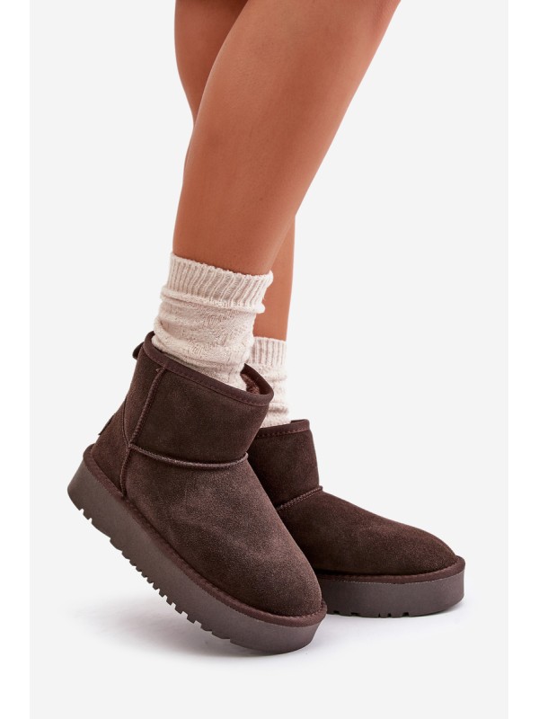 Women's Suede Snow Boots on Platform Above Ankle Brown Rianaella