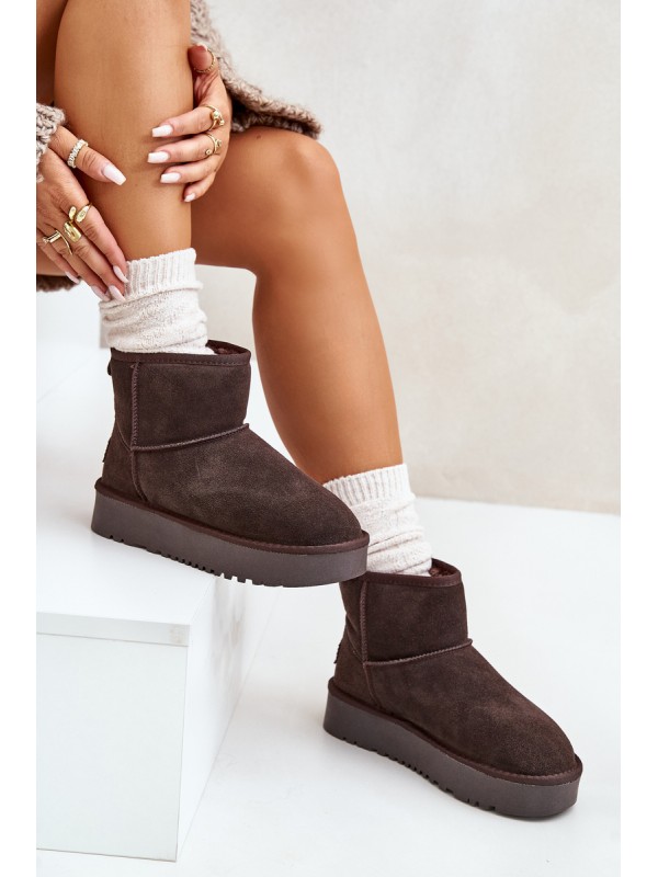 Women's Suede Snow Boots on Platform Above Ankle Brown Rianaella