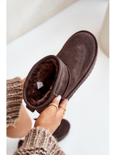 Women's Suede Snow Boots on Platform Above Ankle Brown Rianaella