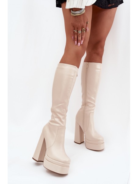 Warm women's ankle boots on a heel and platform light beige Lysara