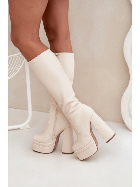 Warm women's ankle boots on a heel and platform light beige Lysara