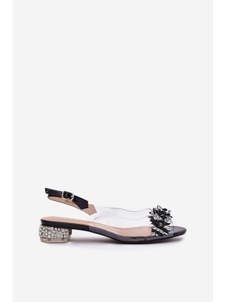 Transparent Low Heel Sandals With Decoration D&A MR51-709 Black