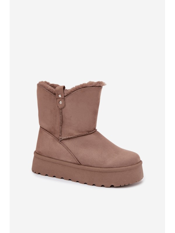 Women's Snow Boots On Platform With Fur Dark Beige Evelira