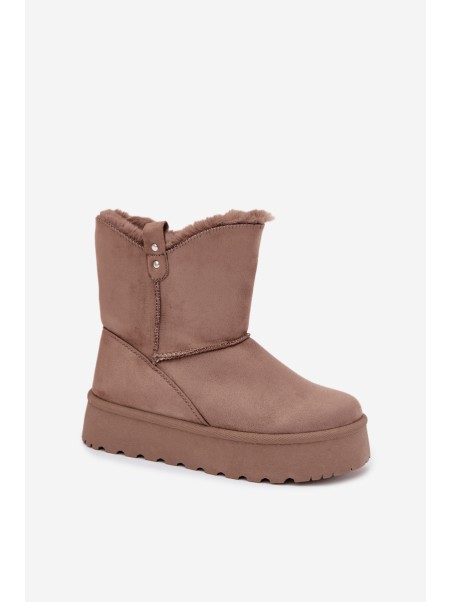 Women's Snow Boots On Platform With Fur Dark Beige Evelira