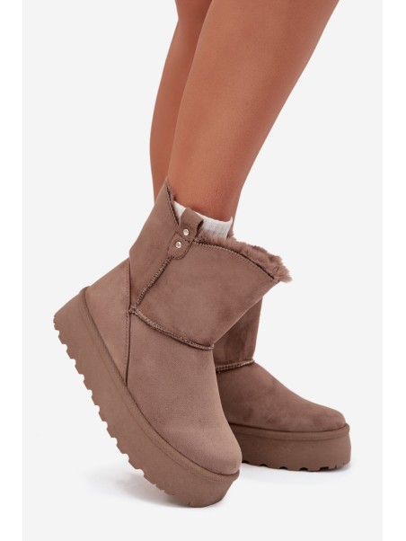 Women's Snow Boots On Platform With Fur Dark Beige Evelira