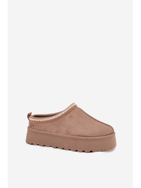 Low Women's Snow Boots With Embroidery On Platform Dark Beige Narirya