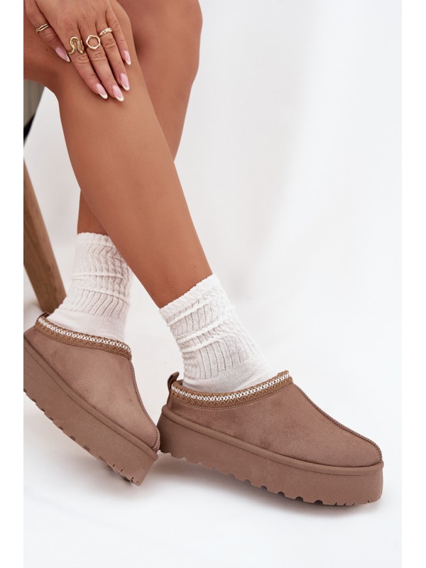 Low Women's Snow Boots With Embroidery On Platform Dark Beige Narirya