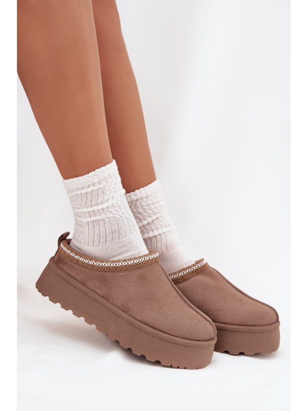 Low Women's Snow Boots With Embroidery On Platform Dark Beige Narirya
