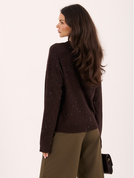 Sweter-IR-SW-W2693.29-ciemny brązowy
